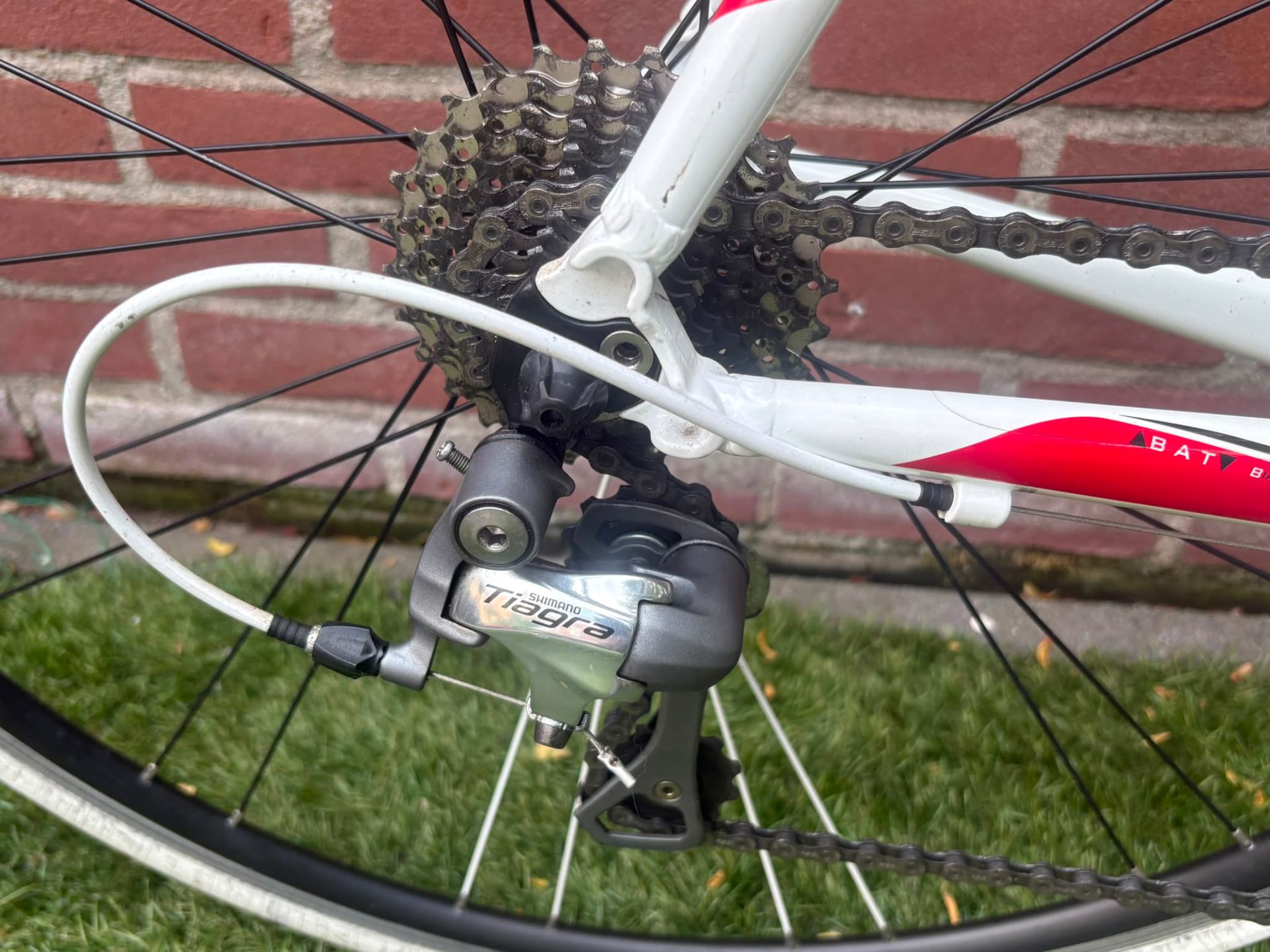Bianchi Via Nirone — photo 9