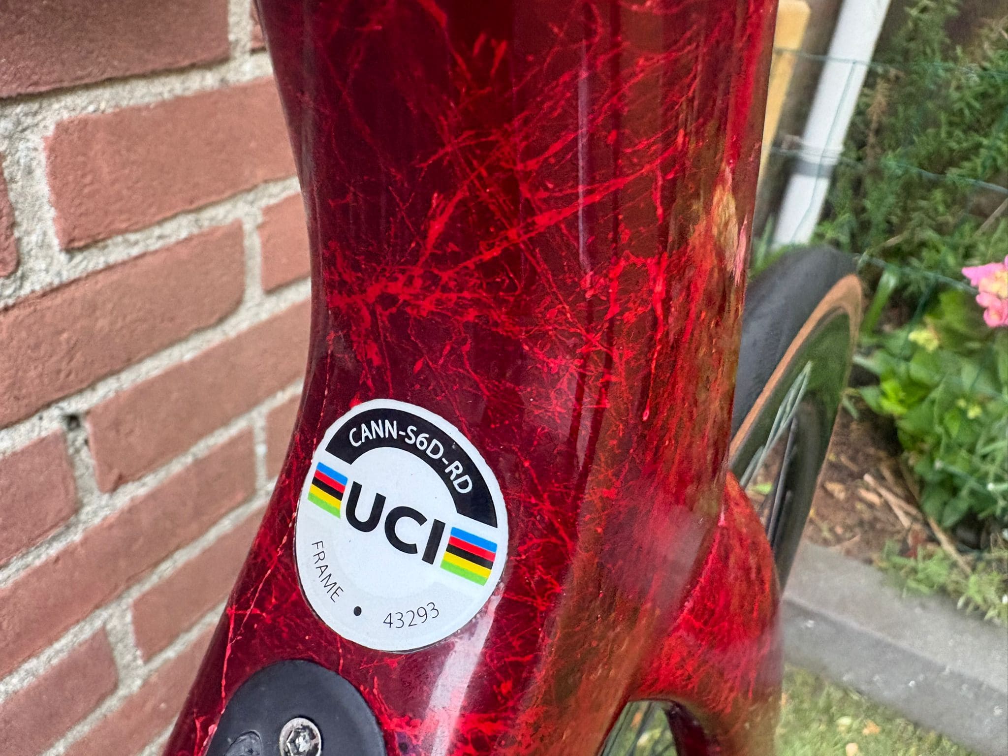 Cannondale Supersix Evo Disc Di2 — photo 12