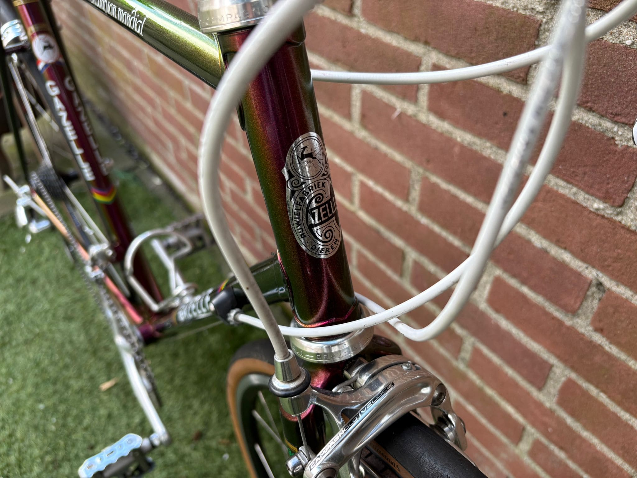 Gazelle Champion Mondial — photo 6