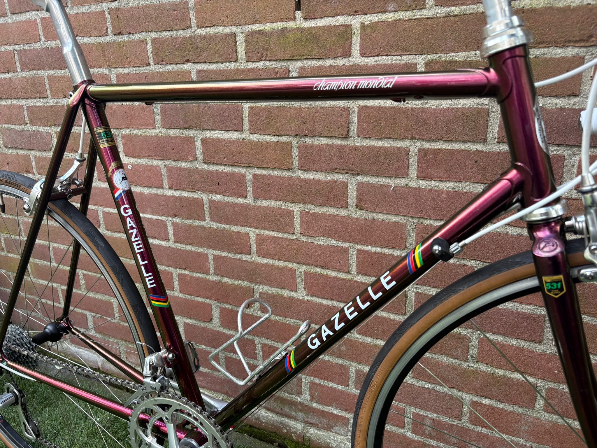 Gazelle Champion Mondial — photo 5