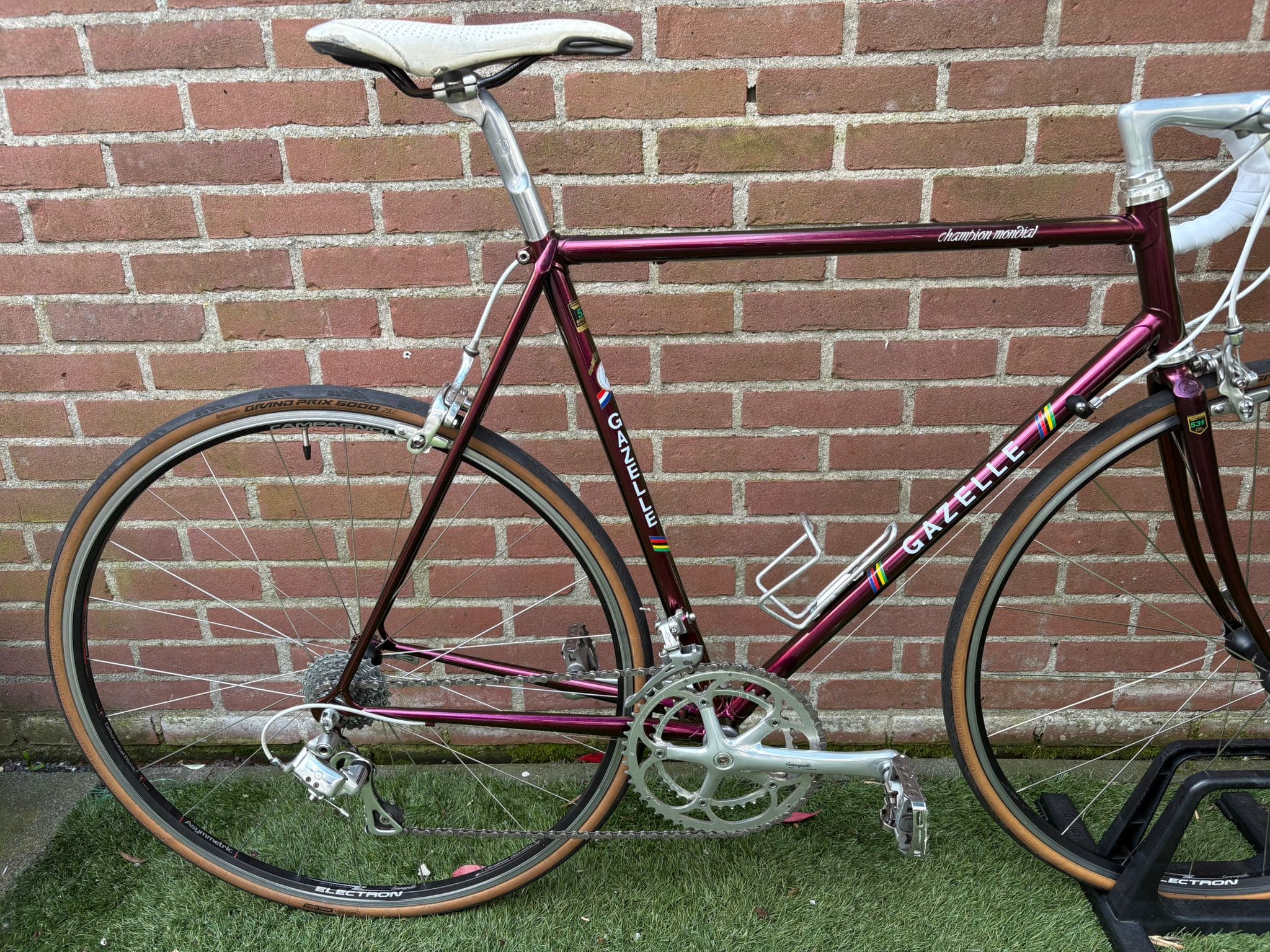 Gazelle Champion Mondial — photo 2