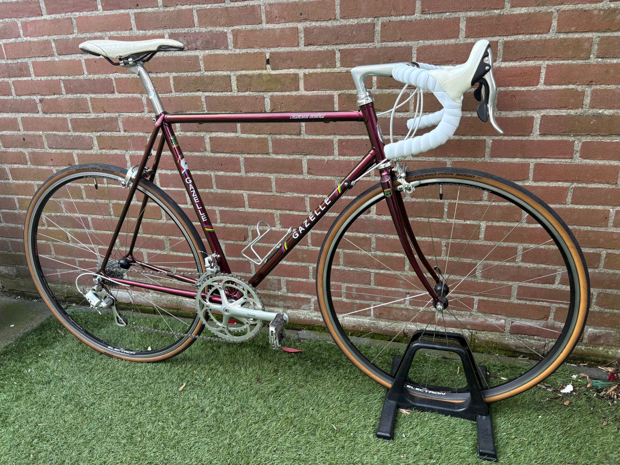 Gazelle Champion Mondial — photo 7