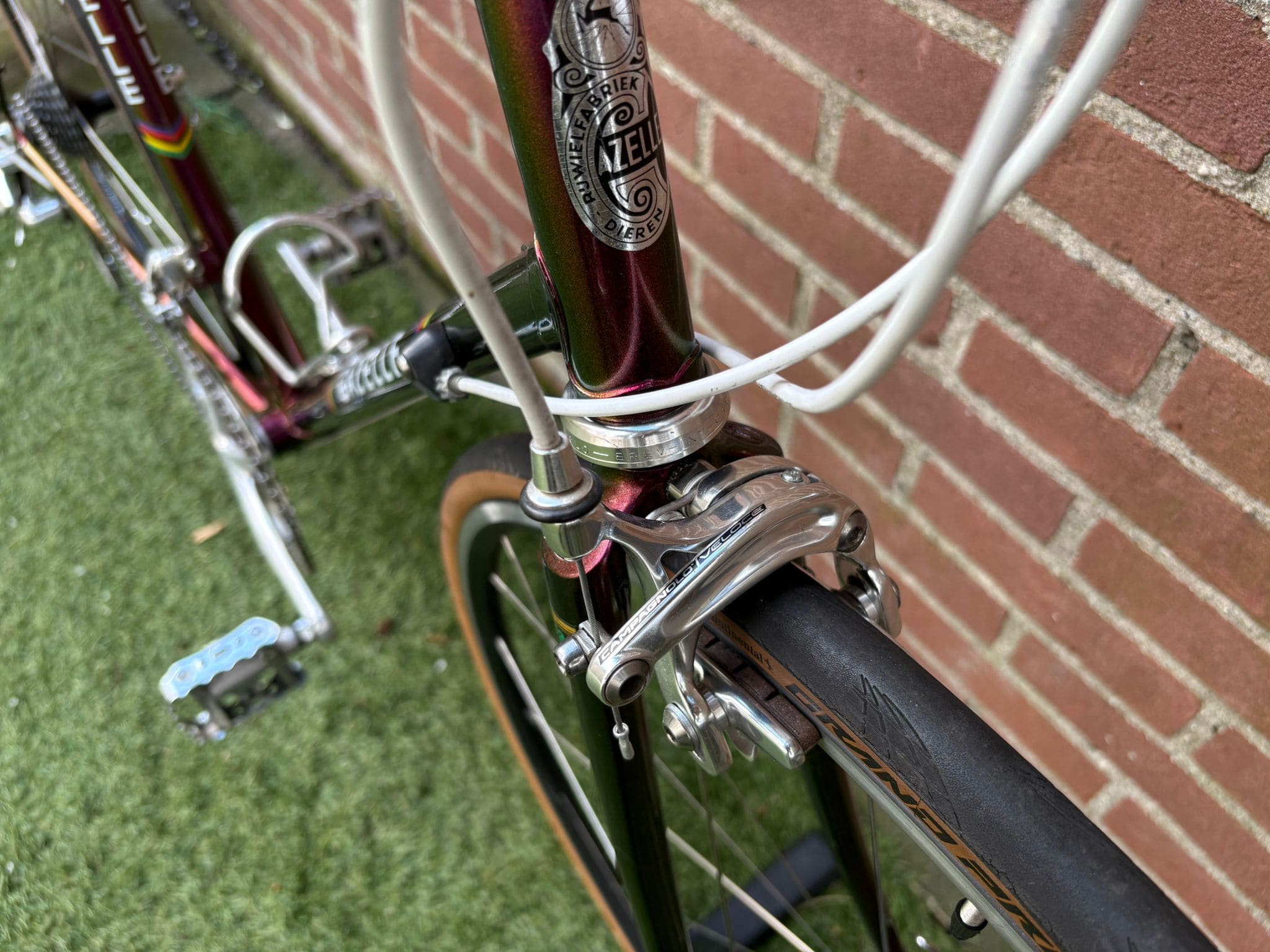 Gazelle Champion Mondial — photo 8