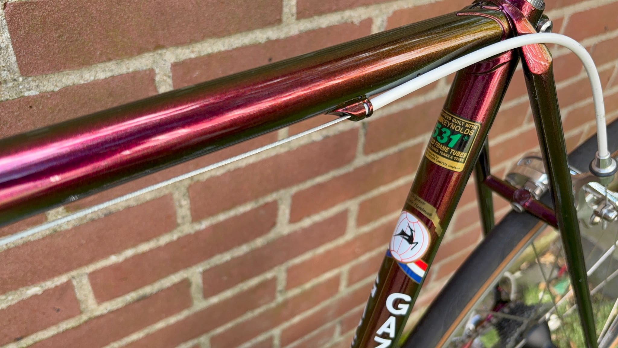 Gazelle Champion Mondial — photo 9