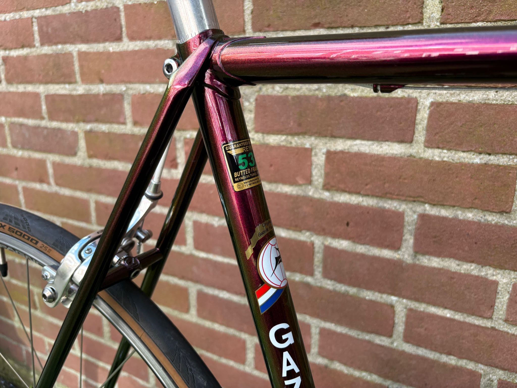 Gazelle Champion Mondial — photo 10