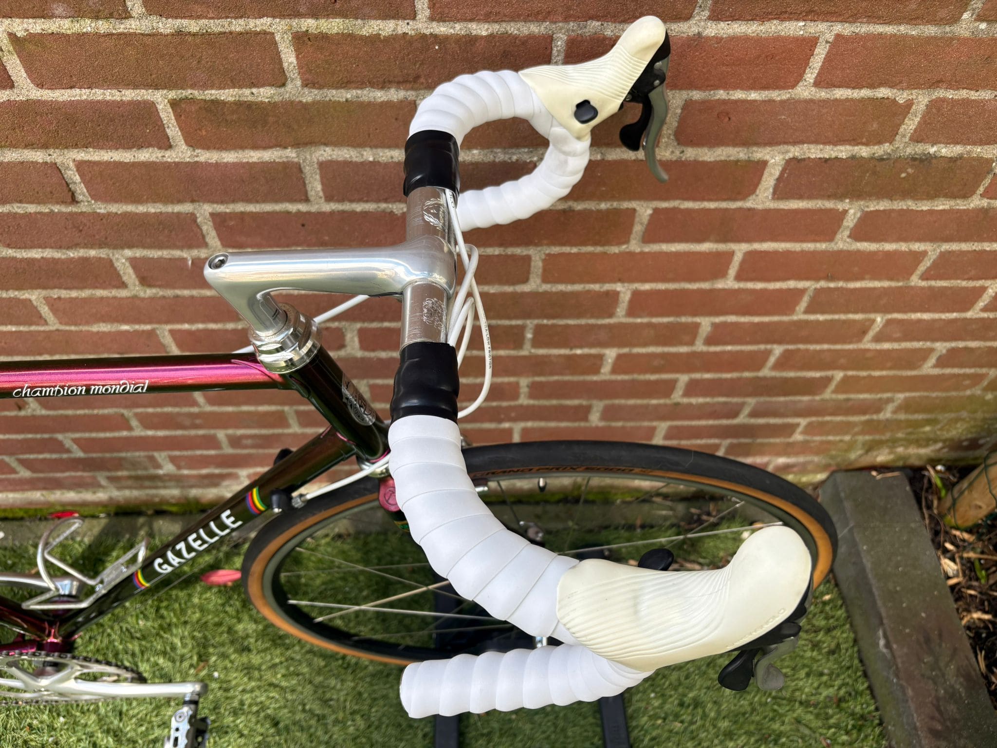 Gazelle Champion Mondial — photo 3
