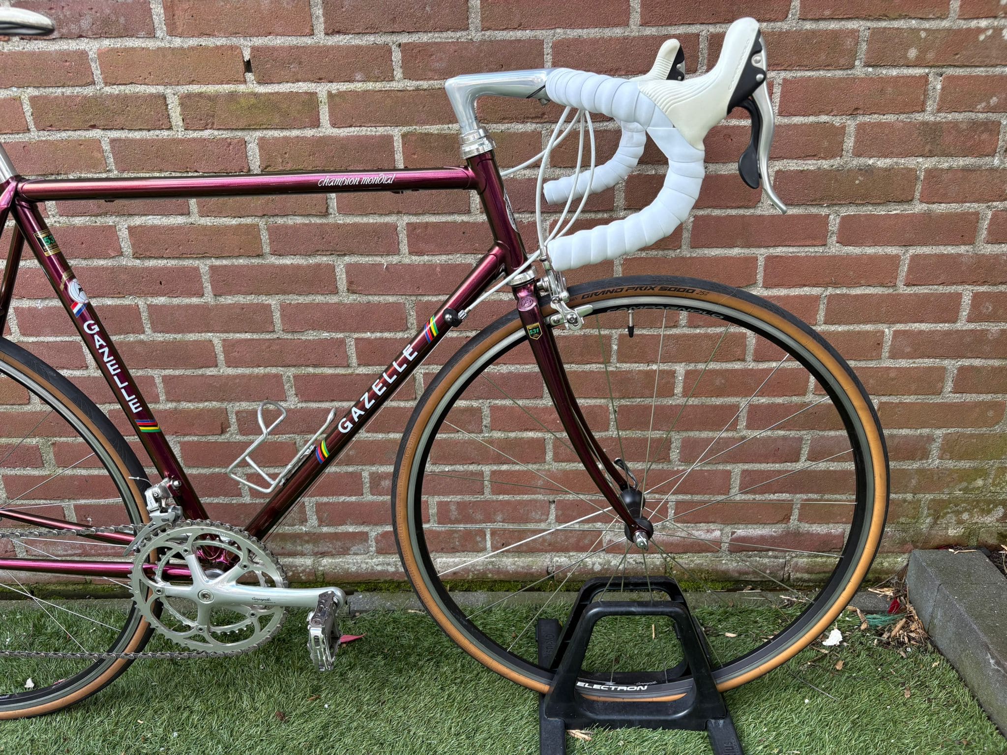 Gazelle Champion Mondial — photo 4