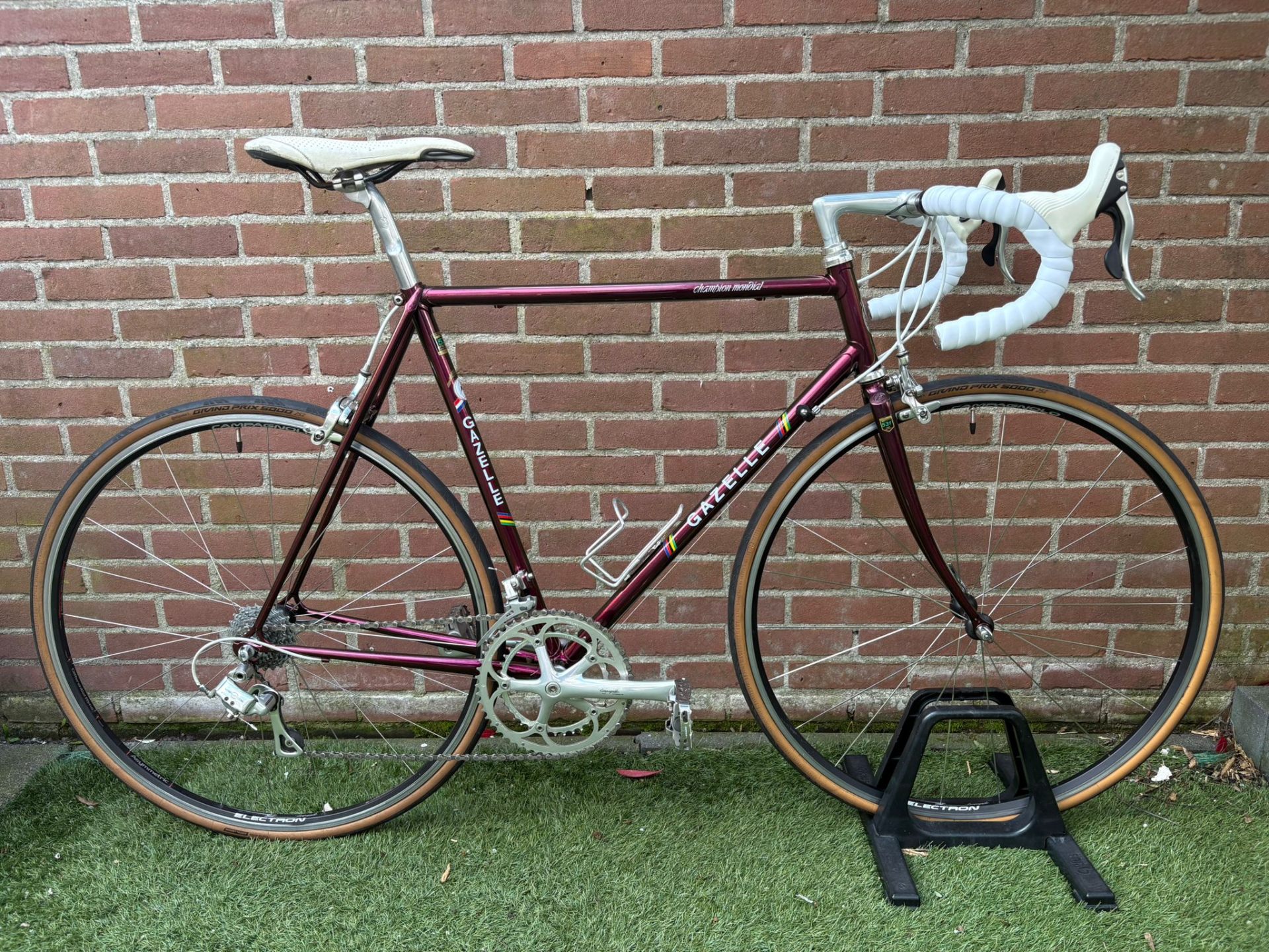 Gazelle Champion Mondial