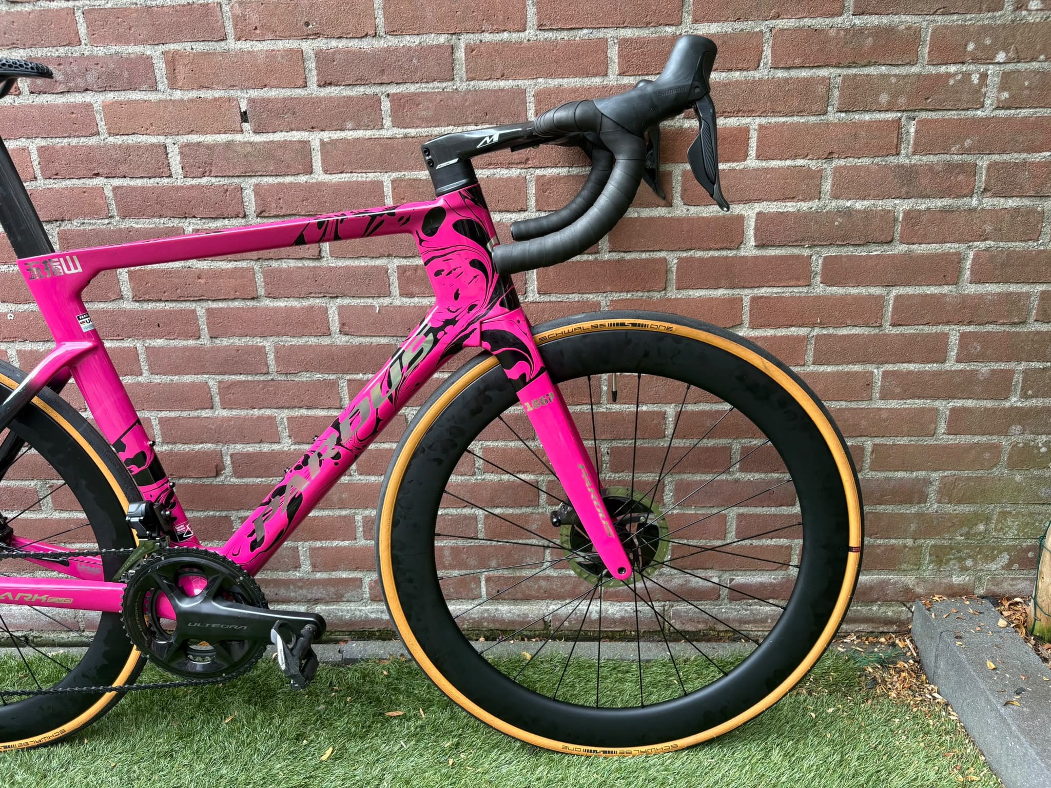 Pardus Spark EVO Ultegra Di2 — photo 3
