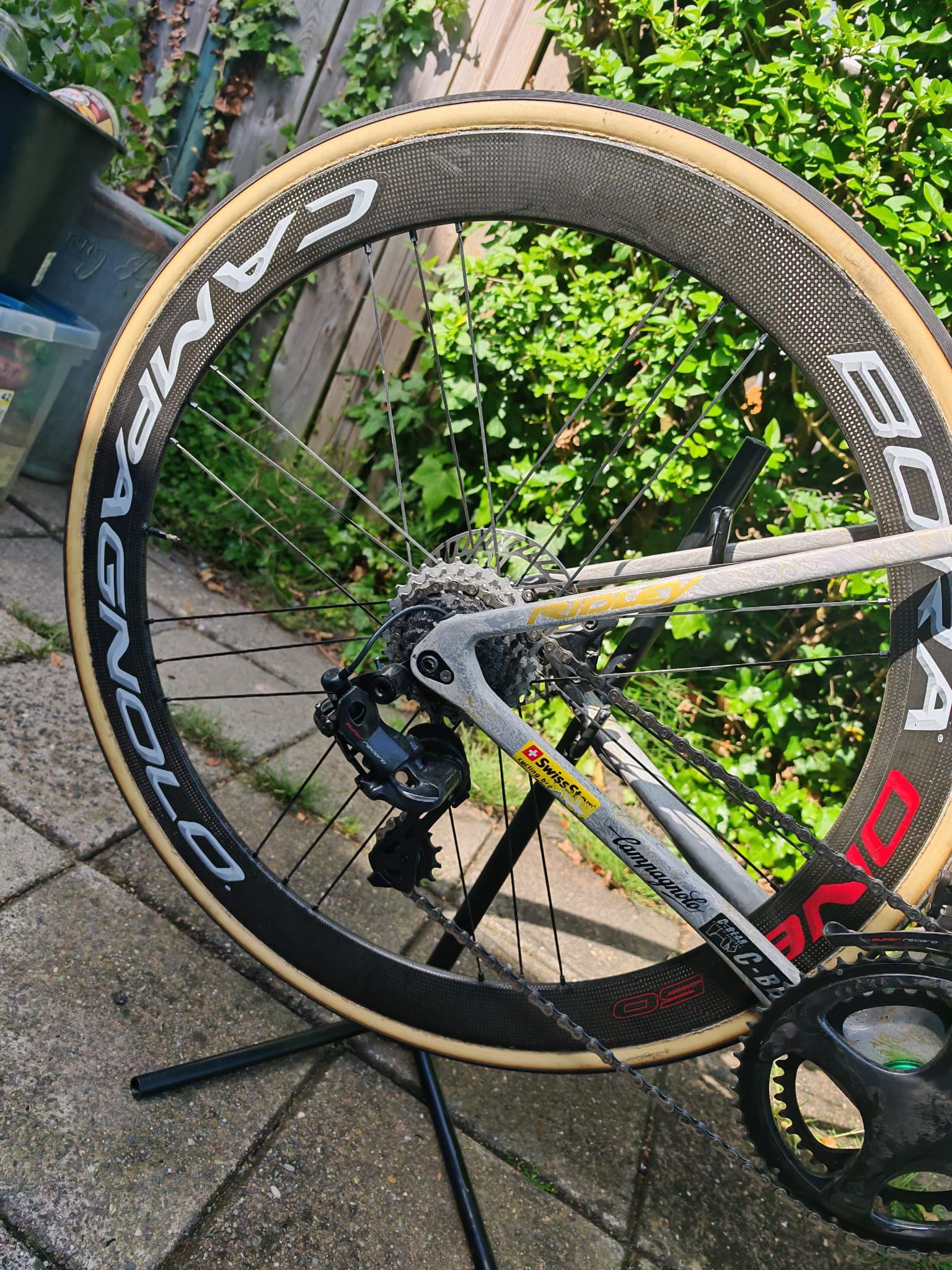 Ridley Noah Fast Special Paint — photo 5