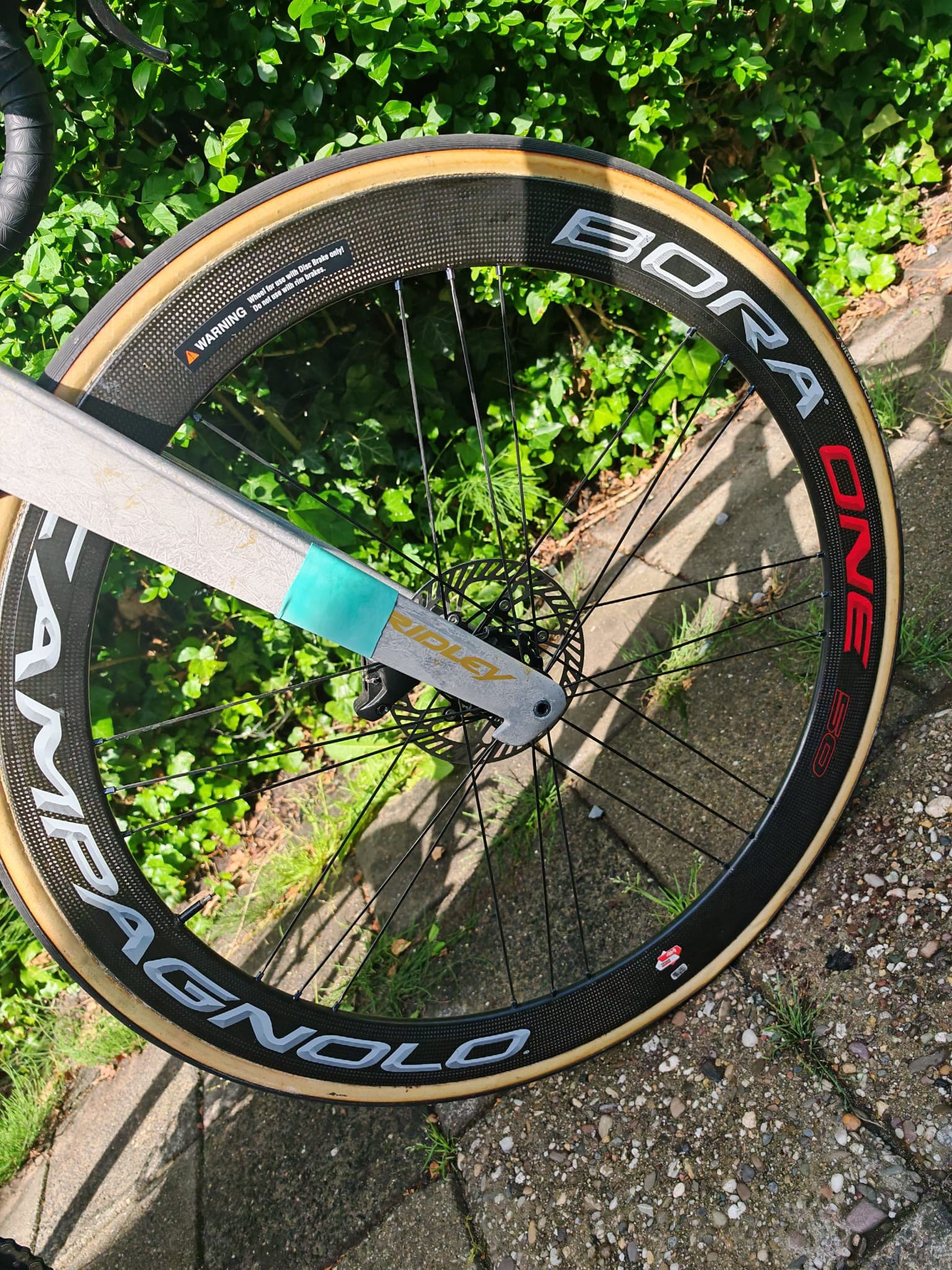 Ridley Noah Fast Special Paint — photo 6