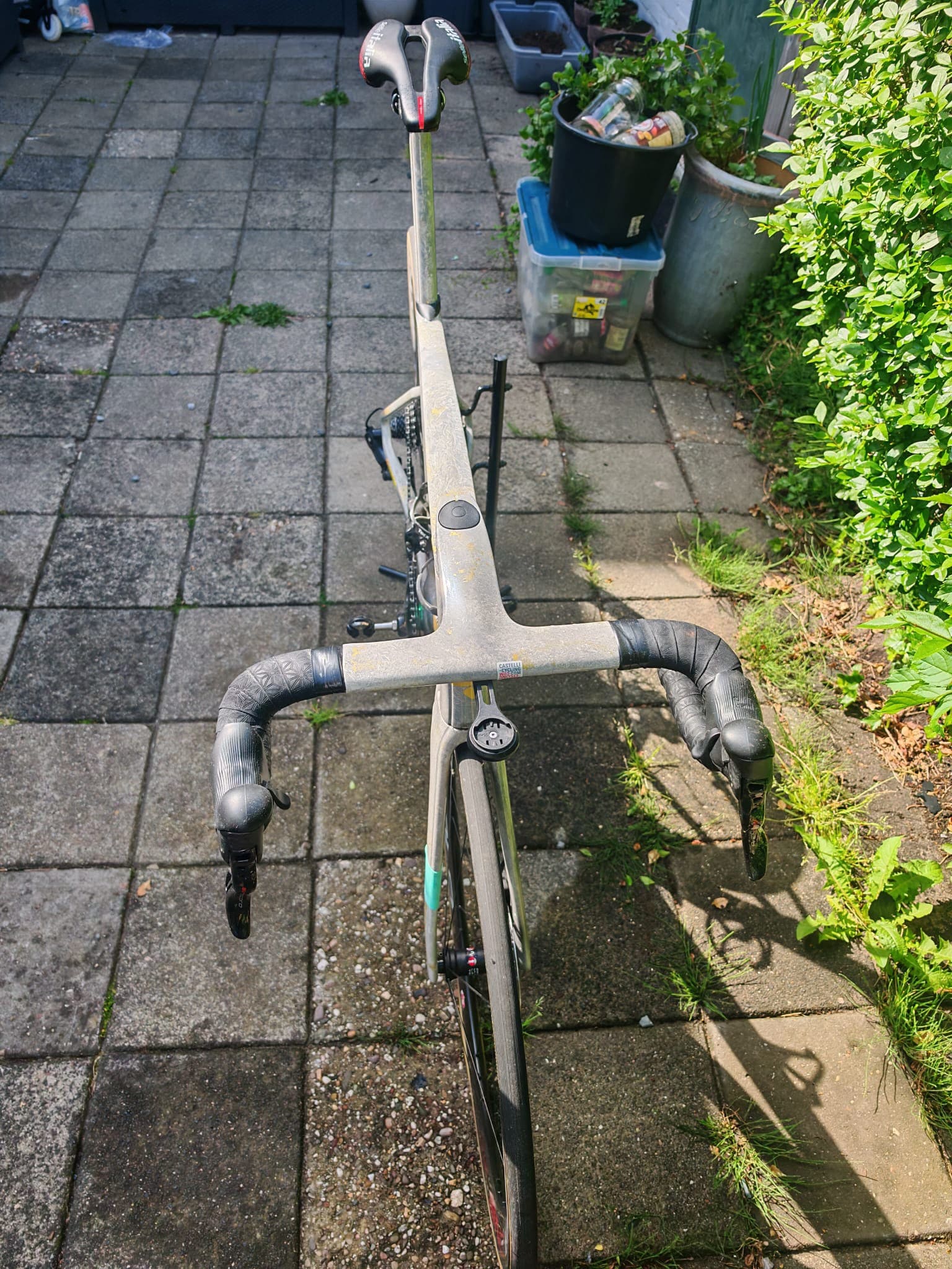 Ridley Noah Fast Special Paint — photo 7