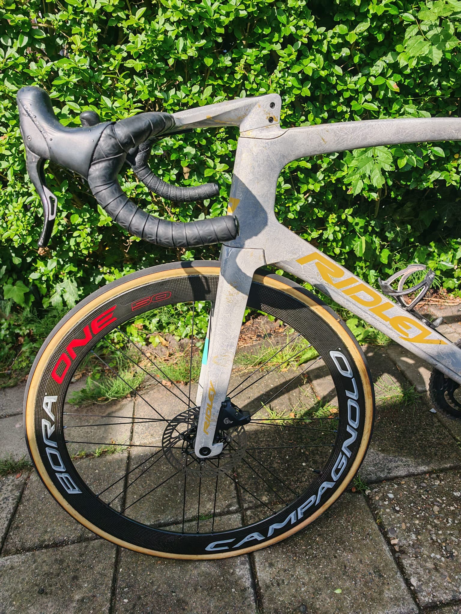 Ridley Noah Fast Special Paint — photo 13